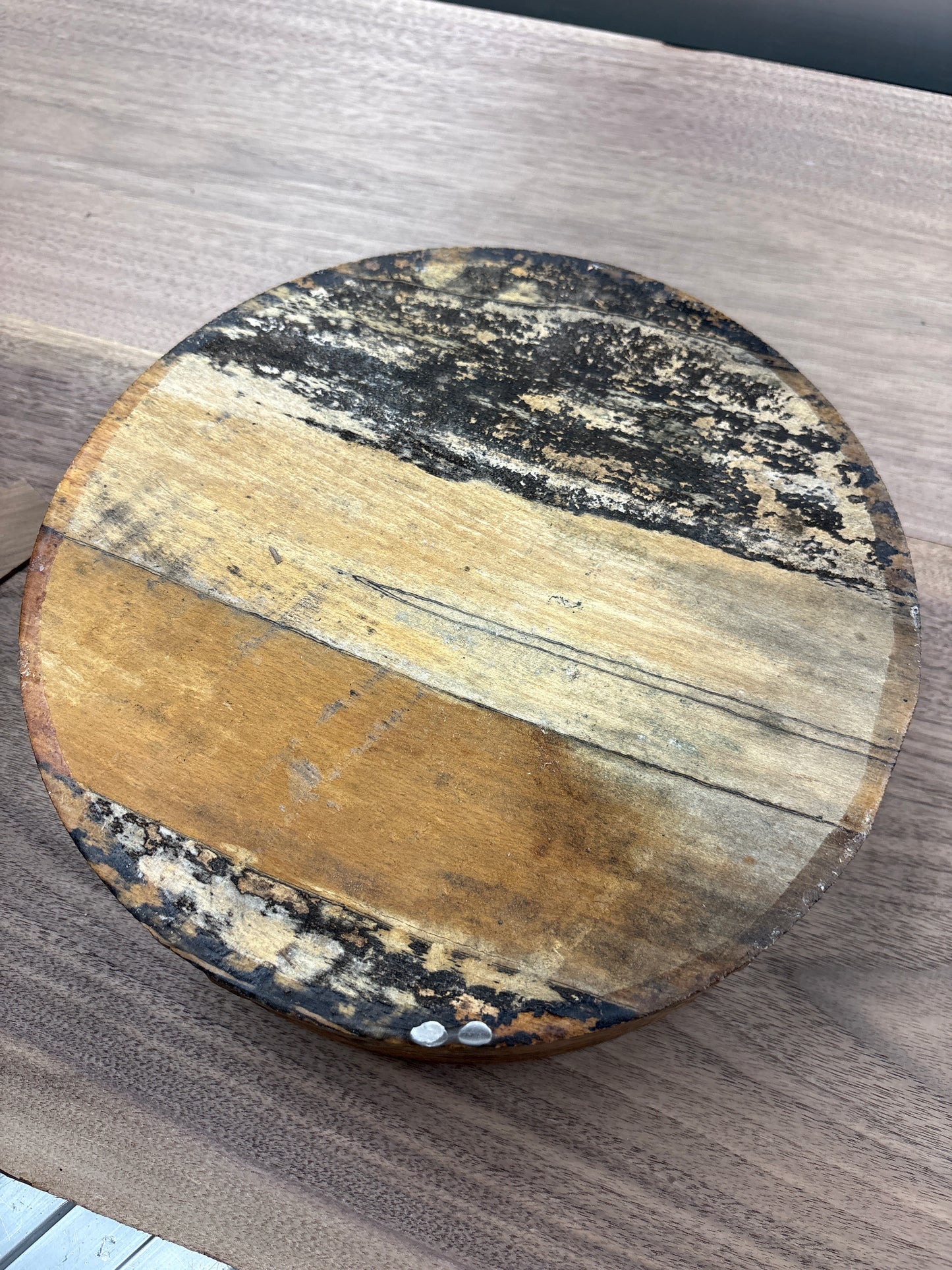 Spalted Beech Bowl Blank SBB09 — 235x62mm