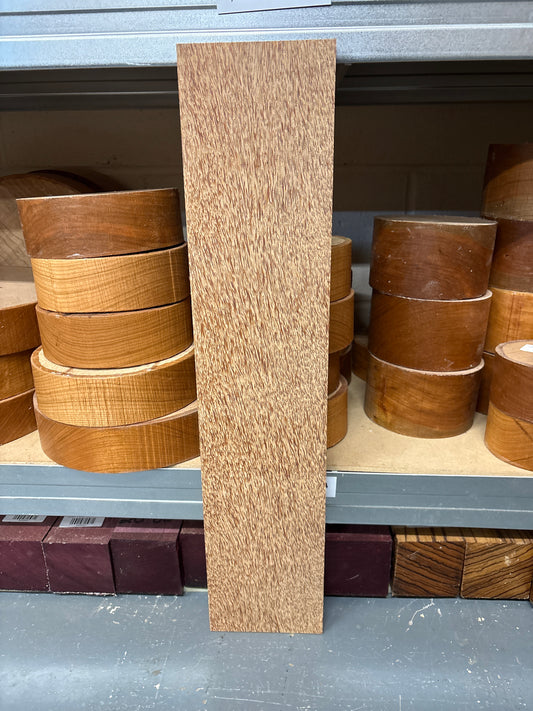 Coconut Palm CP13 — 565x122x19mm