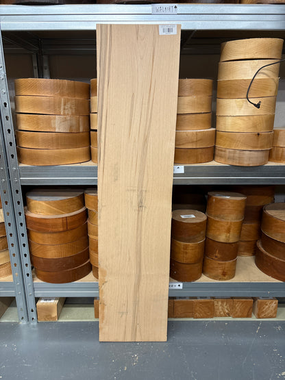 European Beech BEE04 — 1025x235x25mm