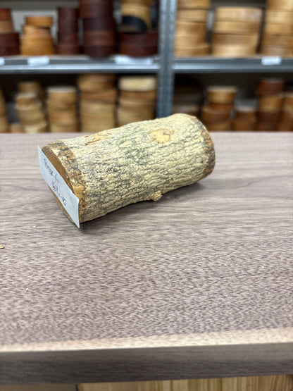 English Boxwood Loglet Blank BOX06