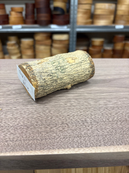 English Boxwood Loglet Blank BOX06