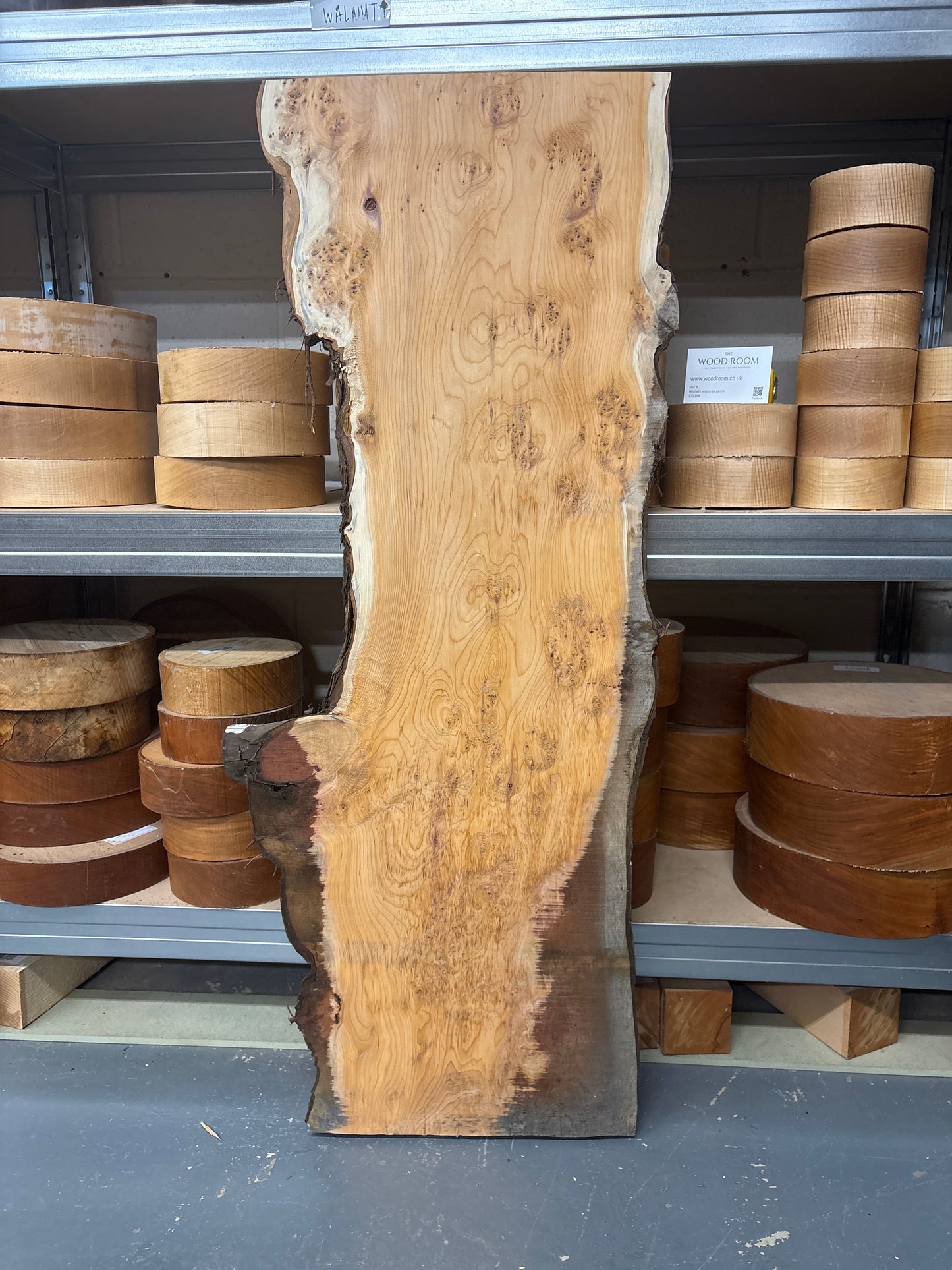 Yew YEW11 — 1015x300/360x25mm