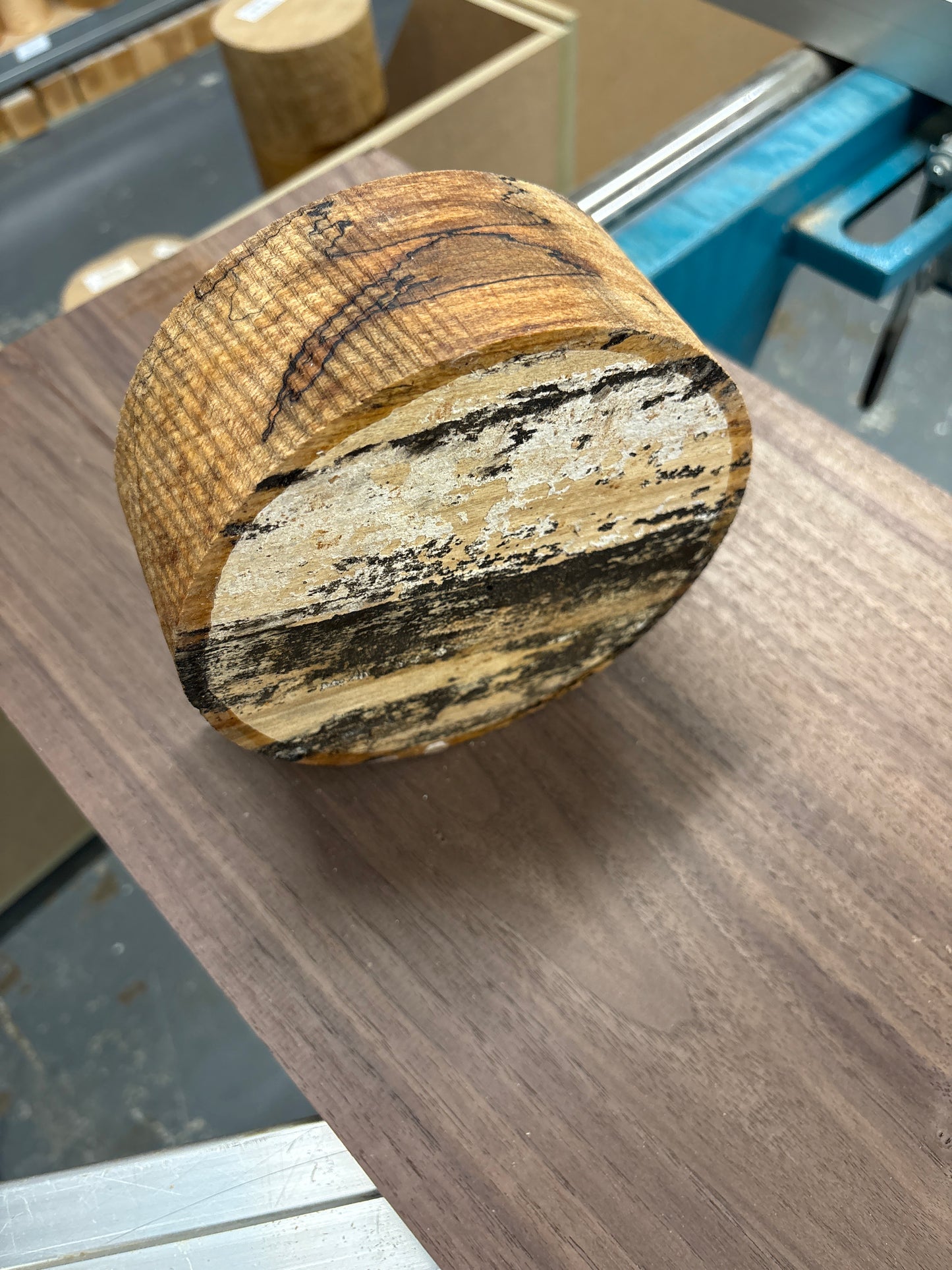 Spalted Beech Bowl Blank SBB06 — 160x62mm