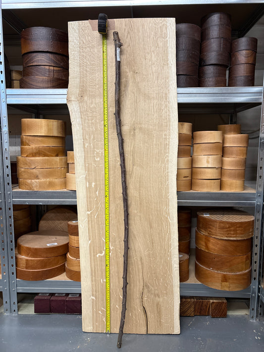 BTW03 Blackthorn Walking Stick Blank — Approx. 1300mm × 20mm Shaft
