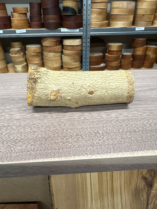 English Boxwood Loglet Blank BOX05