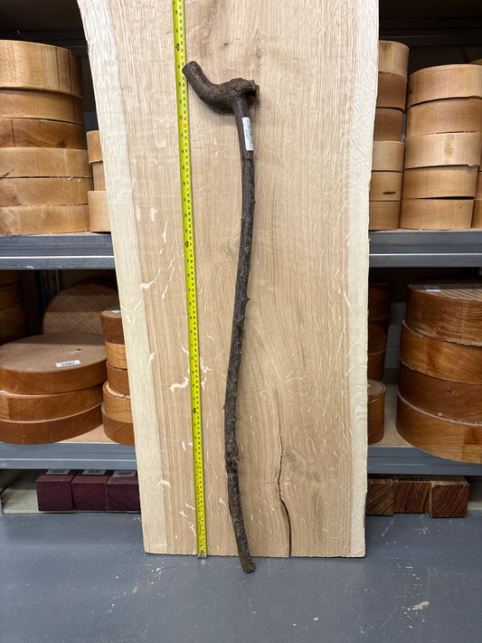 BTW01 Blackthorn Walking Stick Blank — Approx. 890mm × 22–25mm Diameter