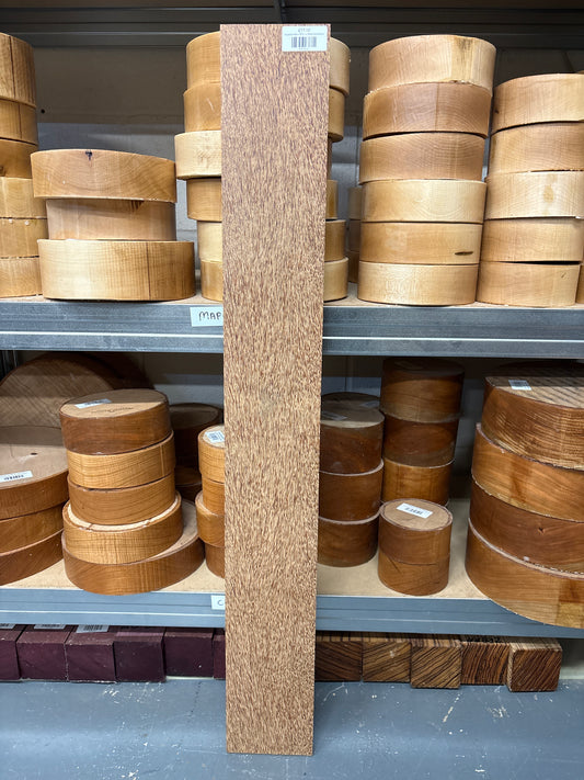 Coconut Palm CP11 — 935x122x20mm
