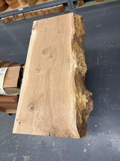 European Oak EUO09 — 620x320avg x50mm Pippy (Live Edge)