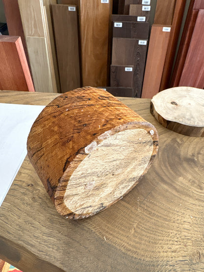 Spalted Beech Bowl Blank SBB07 — 110x62mm