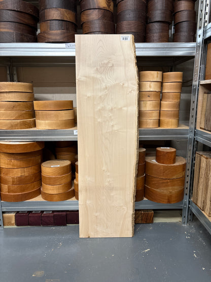 Sycamore SYC07 — Live Edge Ripple Plank, 1120x300/340x21mm