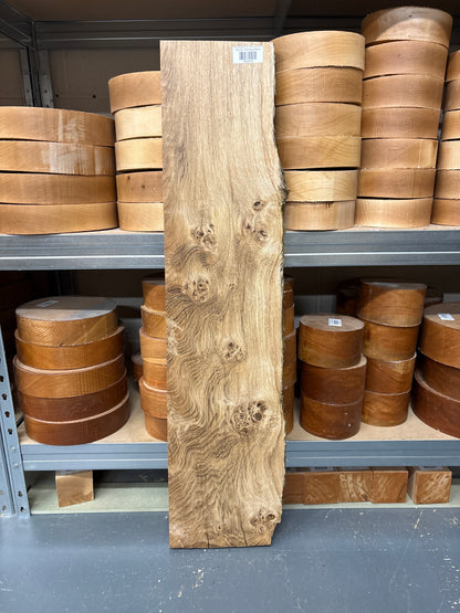 Pippy Oak PO05 — 920 x 185/255 x 35mm (Live Edge)