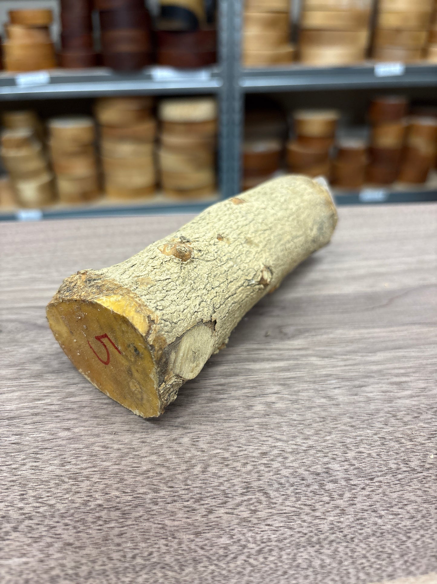 English Boxwood Loglet Blank BOX05