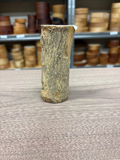 English Boxwood Loglet Blank BOX04