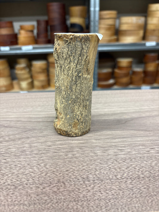 English Boxwood Loglet Blank BOX04