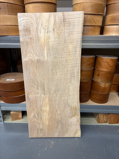 Sycamore SYC04 — Live Edge Ripple Plank, 730x325x40mm