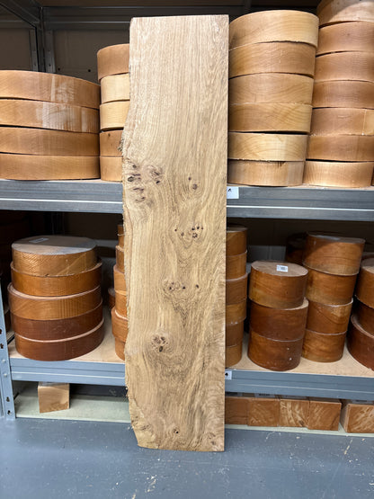Pippy Oak PO05 — 920 x 185/255 x 35mm (Live Edge)
