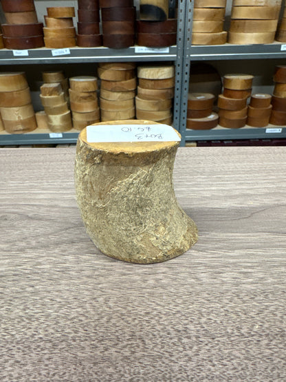 English Boxwood Loglet Blank BOX03