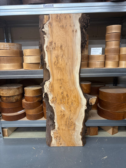 Yew YEW11 — 1015x300/360x25mm