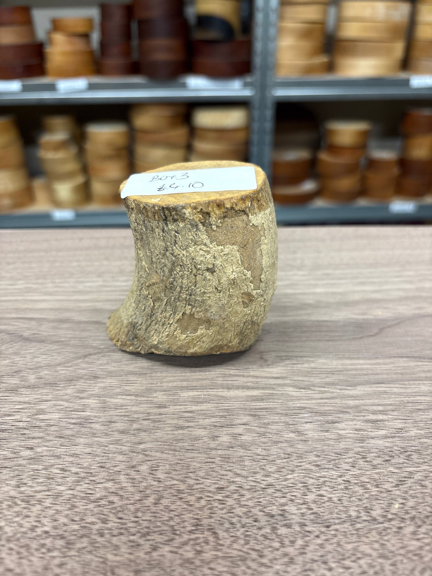 English Boxwood Loglet Blank BOX03