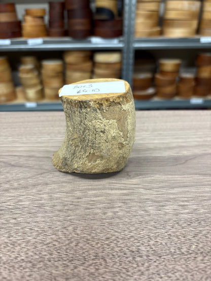 English Boxwood Loglet Blank BOX03
