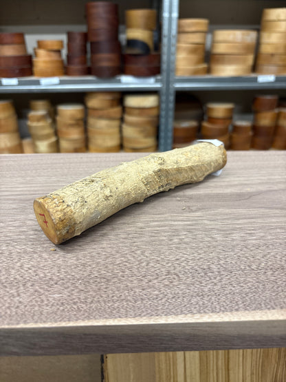 English Boxwood Loglet Blank BOX07