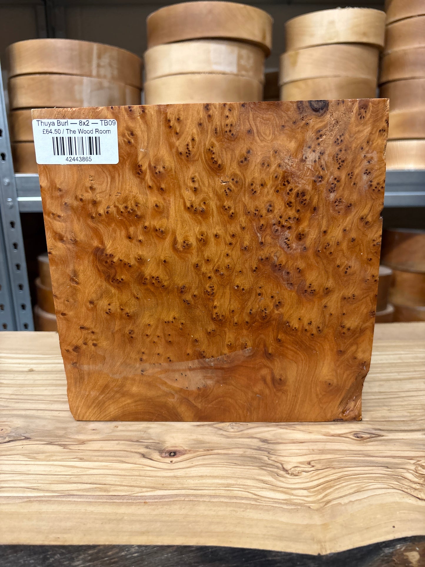 Thuya Burl — 8x2 — TB09