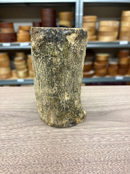 English Boxwood Loglet Blank BOX02