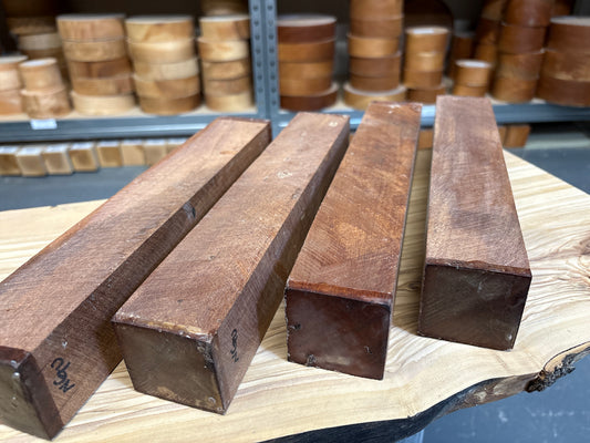 Newtonia Spindle Blank