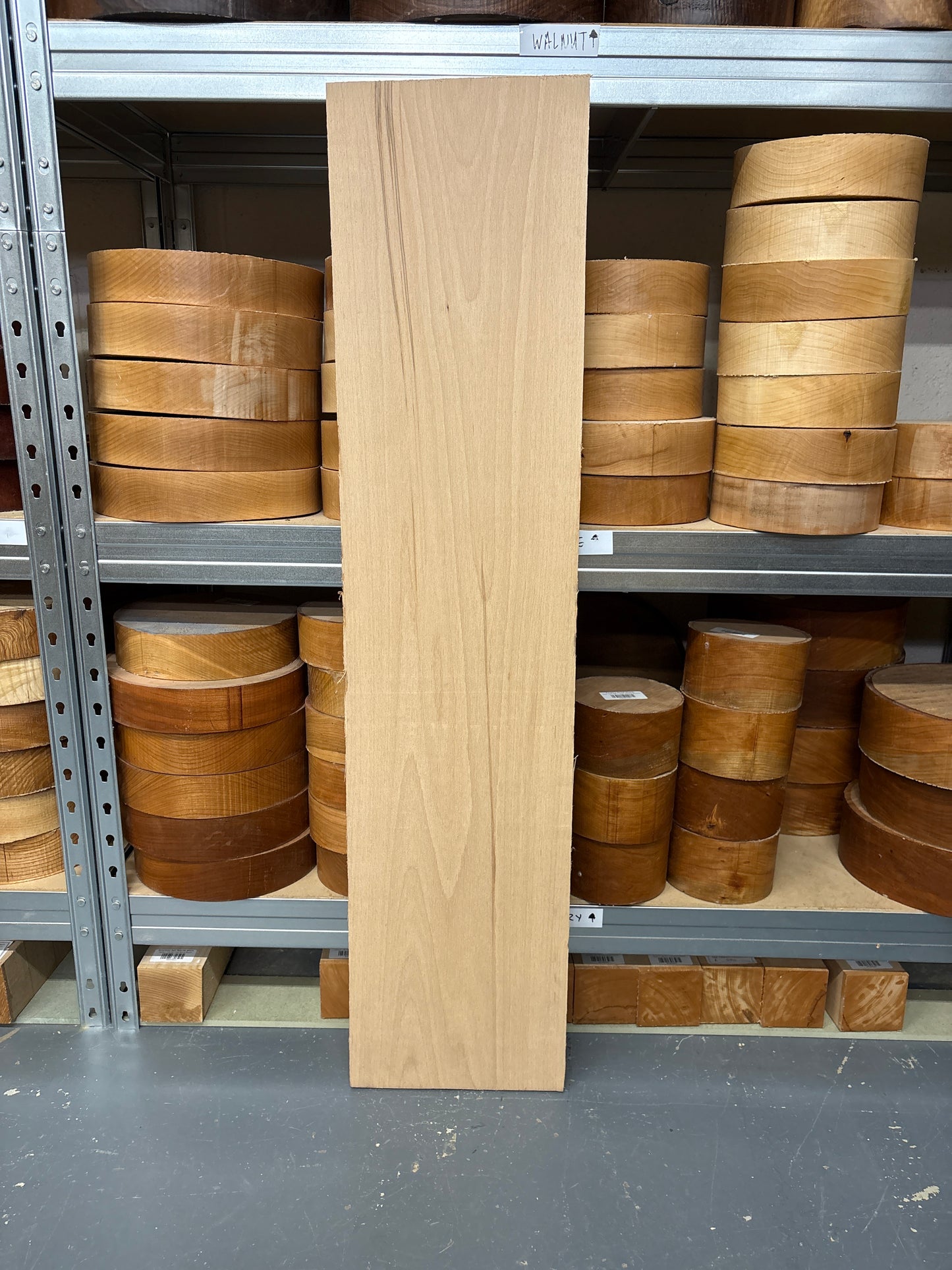 European Beech BEE05 — 1025x235x25mm