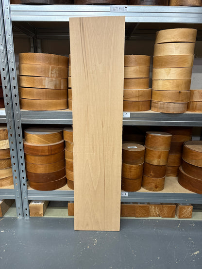 European Beech BEE05 — 1025x235x25mm