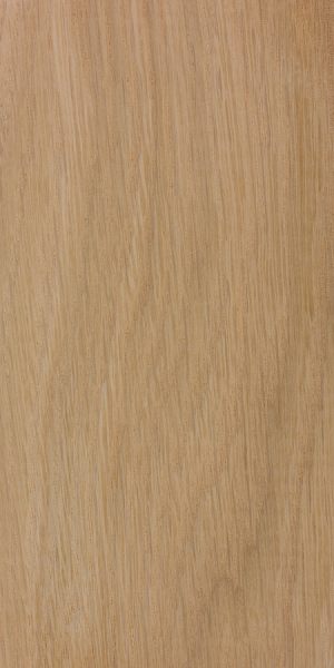 Oak Walking Stick Crook Blank — 150 × 150 × 30mm